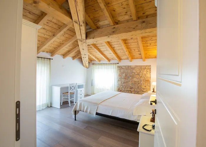 Corte San Carlo 4* 콜라